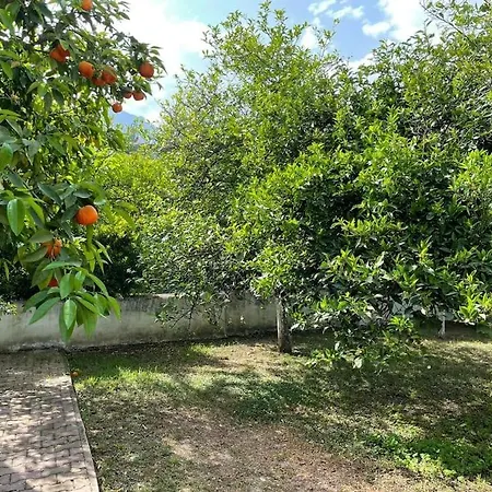 Portakal Bahcesi Icerisinde Muestakil Villa *